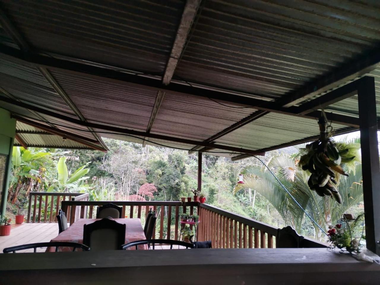 Bella Vista Guest House Turrialba Kültér fotó