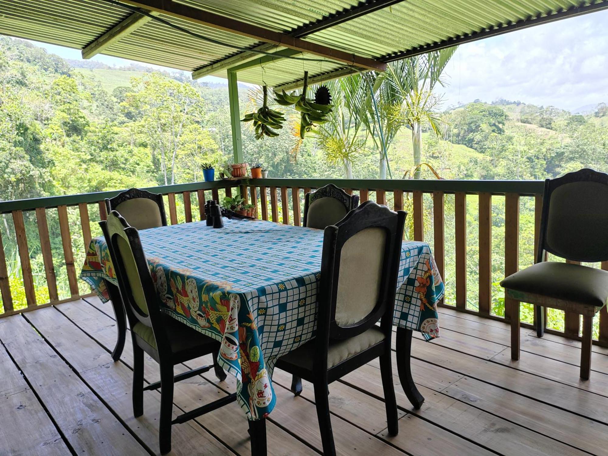 Bella Vista Guest House Turrialba Kültér fotó